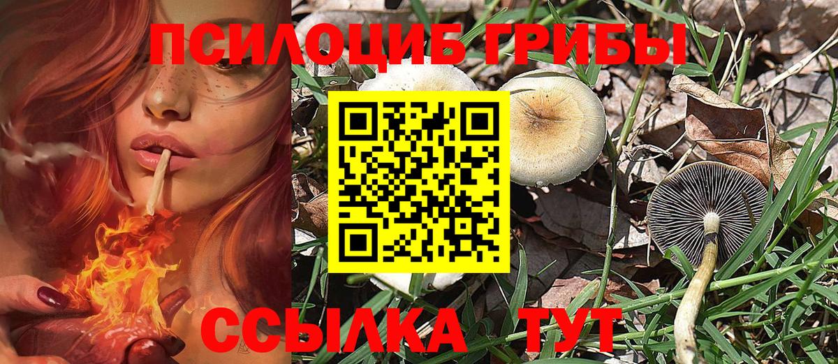 Галлюциногенные грибы прущие грибы Алатырь